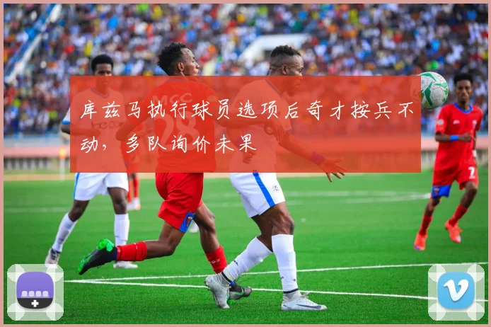 库兹马执行球员选项后奇才按兵不动,多队询价未果